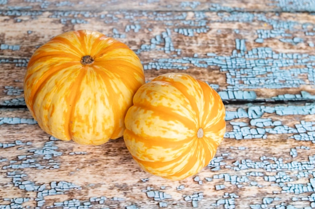 View of orange pumpkins