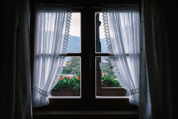 Foto la vista fuori dalla finestra sui fiori di geranio