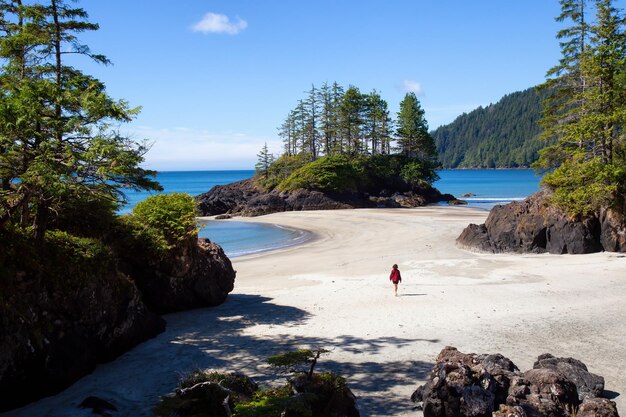 View on the Pacific Ocean Coast