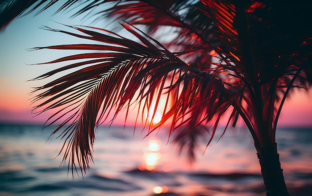 Вид на пальму перед морем