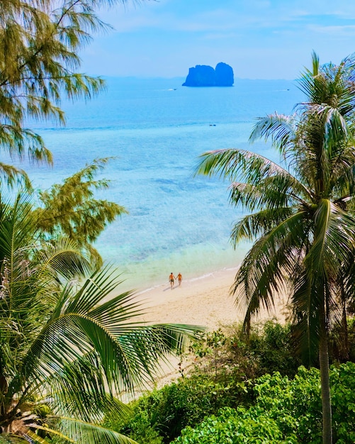 View between palm tree leaves at a couple on the beach Drone view at Koh Ngai island Thailand