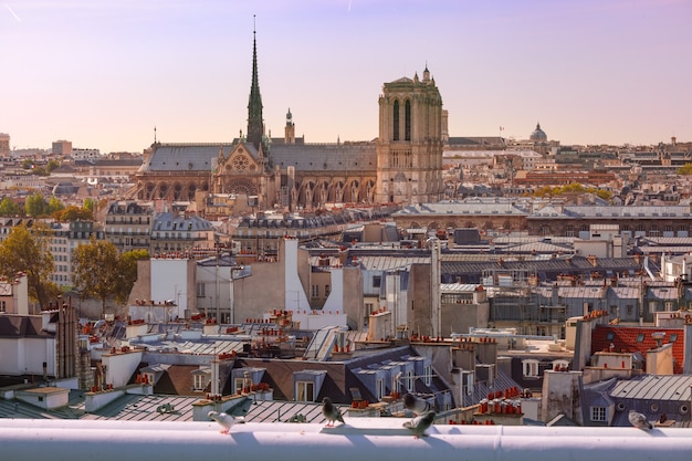 View of Paris with Cathedral of Notre Dame, France