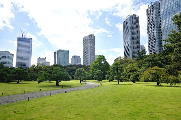 空に向かって市内の公園の景色