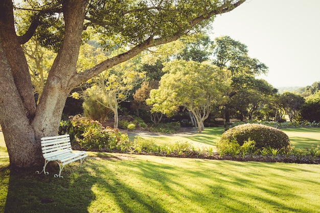 View of a park on a sunny day