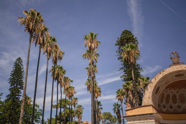 View of the park of Villa Giulia in Palermo