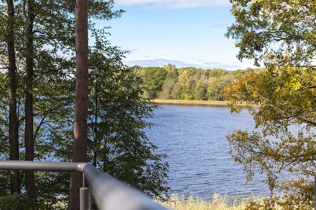 Veduta di un parco con pini, scale per un lago o un fiume, bellissimo paesaggio naturale