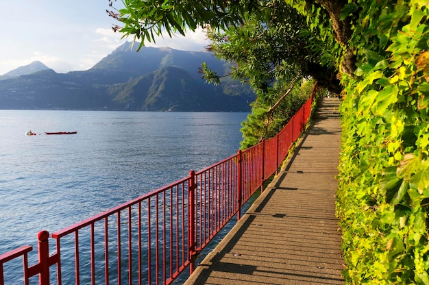 湖辺の歩道の景色