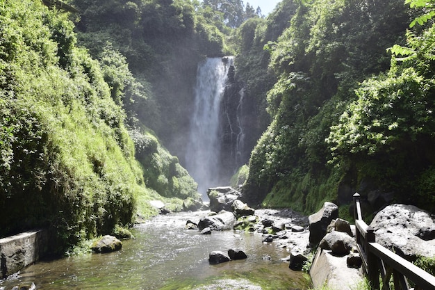 View of Peguche Waterfall in the mountains It's surrounded by green forest full of vegetation Ecuador