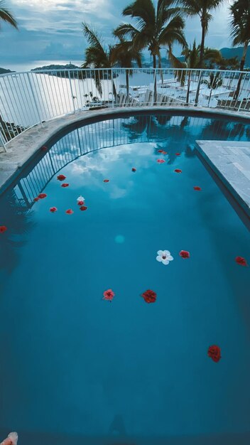 View of people in swimming pool