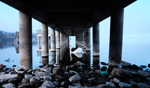 Photo view of pier over sea