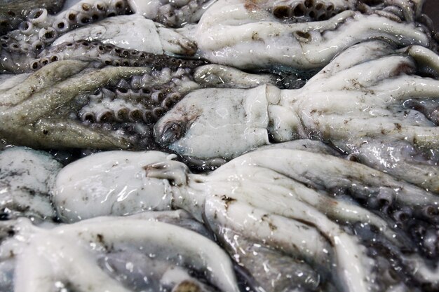 View of a pile of fresh catch of octupus at the market.