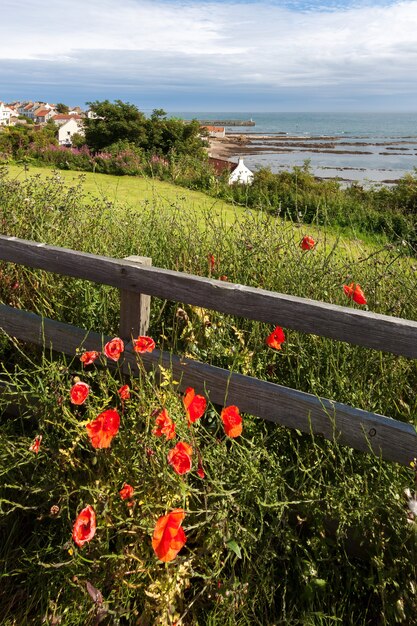 View of Pittenweem in Fife Scotland