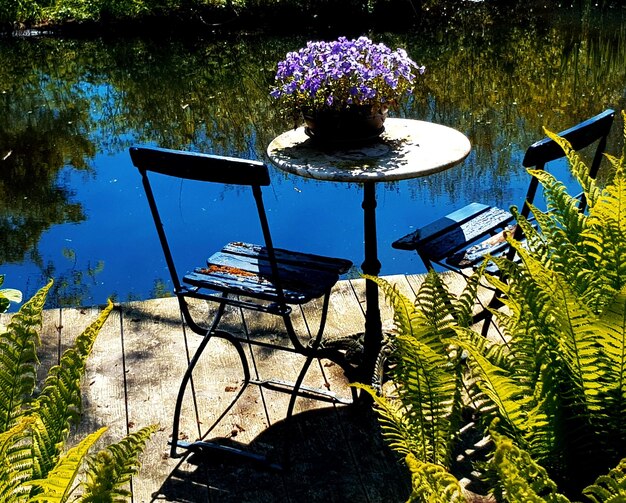 View of plant on table by lake