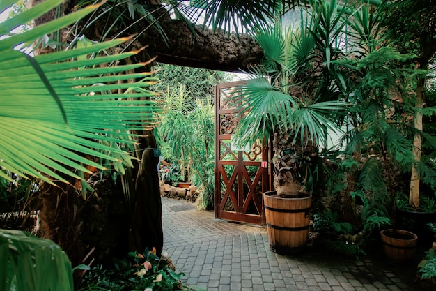 View on plants in alley in the palm greenhouse