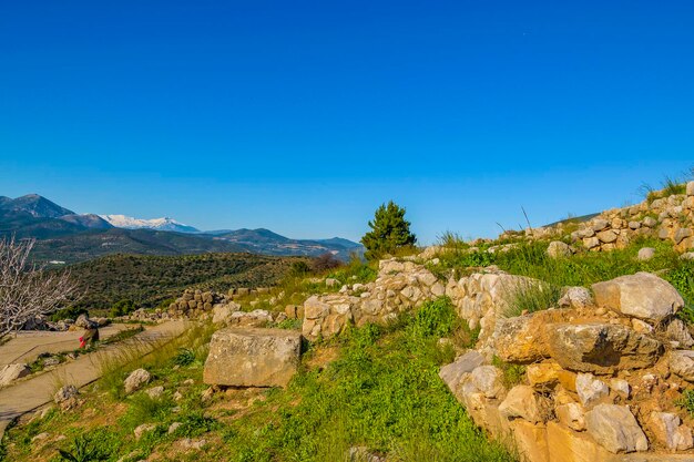 View of plants on mountain against blue sky