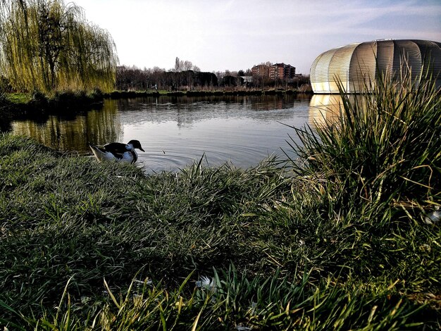 Foto vista dello stagno e del teatro contro il cielo