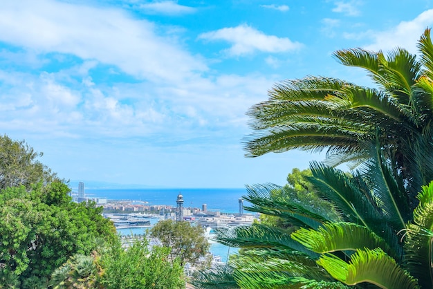 A view of the port of Barcelona from Montjuic. Catalonia Spain