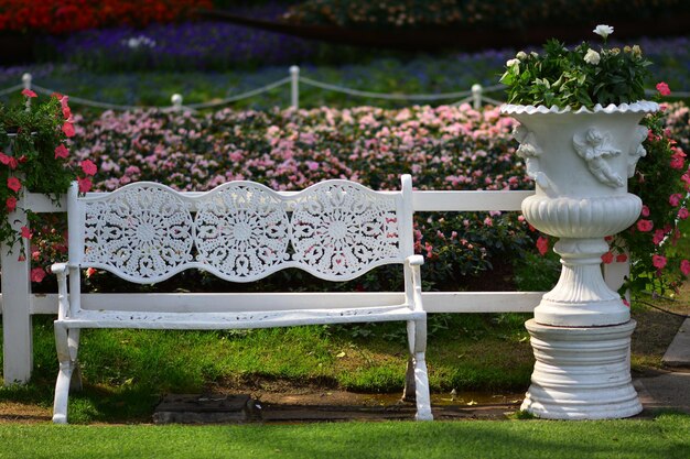 Photo view of potted plants in garden