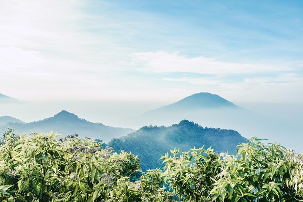 Photo view of pulosari mountain and karang mountain from aseupan mountain