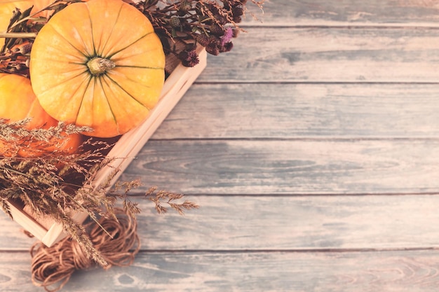 Photo view of pumpkin on wooden table