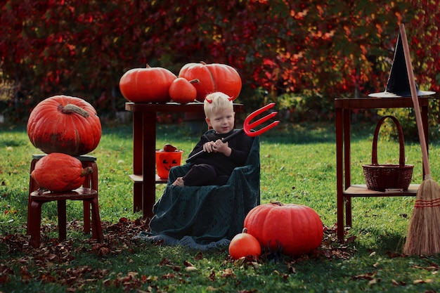 Photo view of pumpkins in field during autumn child in halloween costume