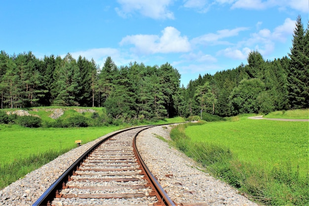 View of railroad track along trees