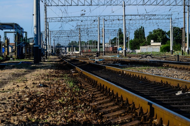 Вид на железнодорожные пути летом