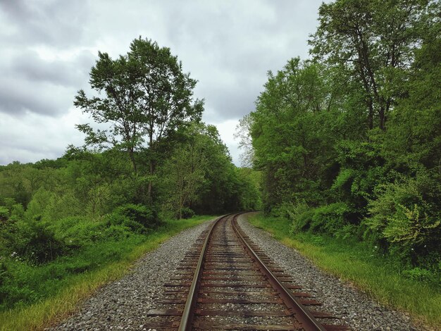 View of railroad tracks amidst trees against sky