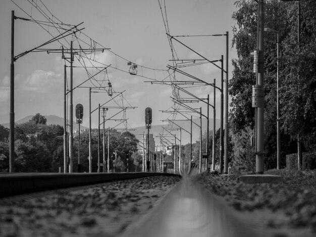 Foto vista dei binari ferroviari lungo gli alberi