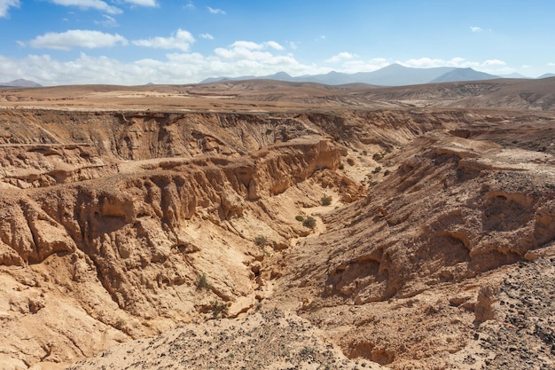 view of ravines of fossil sands