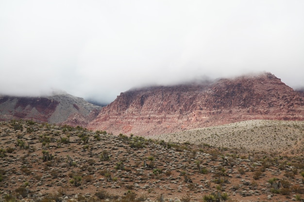Взгляд красного каньона утеса в туманном дне на Неваде, США