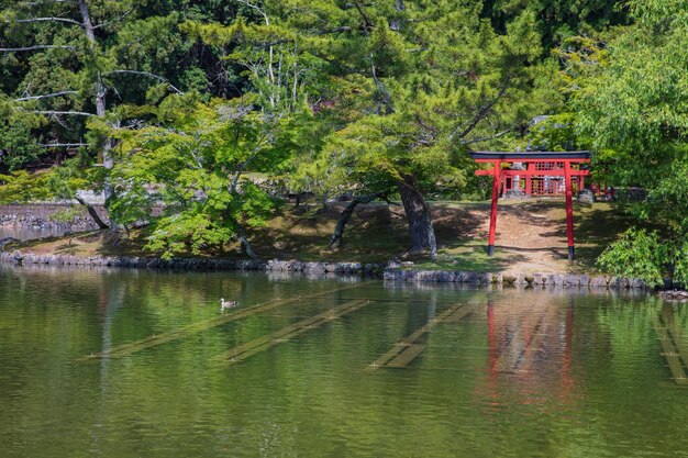 奈良県の赤い鳥居の眺め