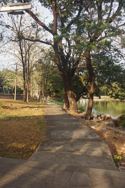 view of a relaxing place under the trees on the edge of the lake