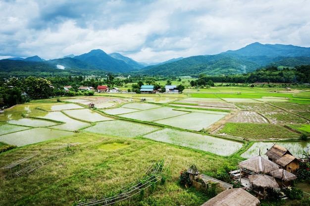 View of rice fields and mountains and hut in Wat Phuket