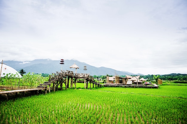 ワットプーケットの田んぼと山と小屋の眺め