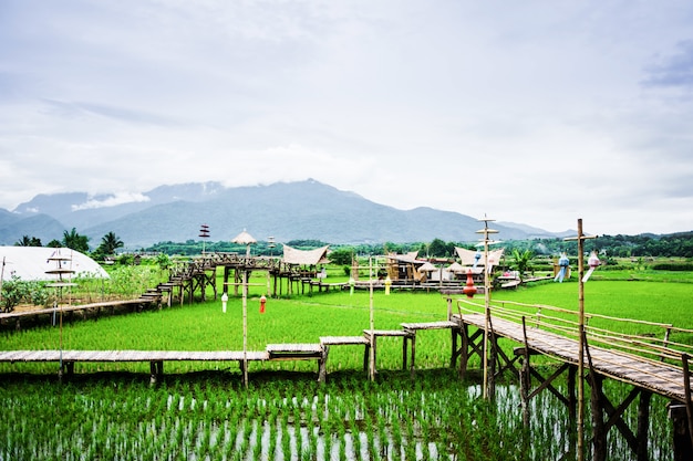 View of rice fields and mountains and hut in Wat Phuket