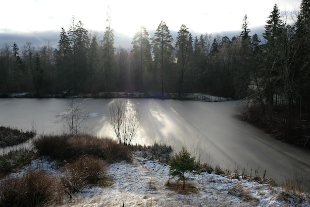 Вид на реку и лес в лучах заходящего солнца зимой