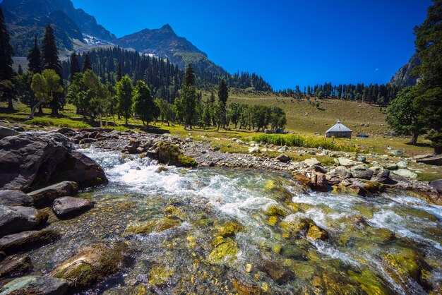 View of river stream from himalaya mountains at sonamarg valley of kashmir india