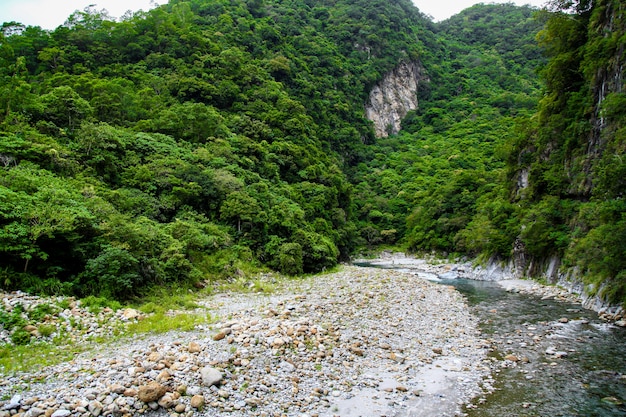 Взгляд реки на ландшафте национального парка taroko в Hualien, Тайване.