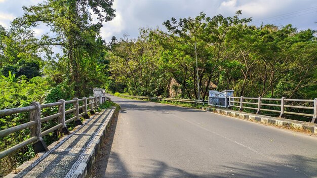 view of road bridge and trees in indonesia