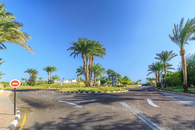 The view to road and palm trees near the hotels