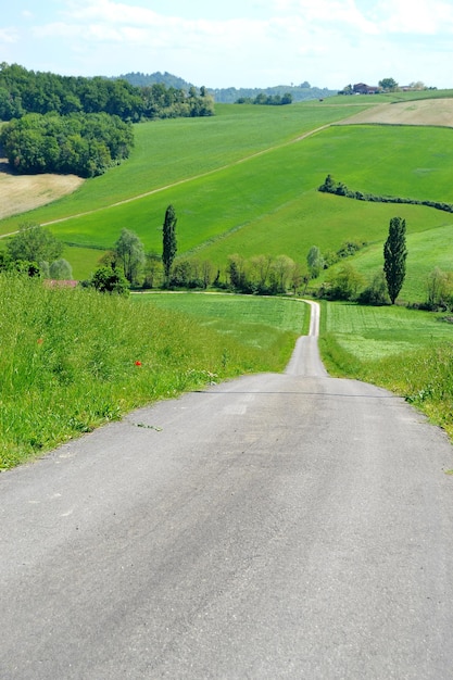 Foto vista di una strada che attraversa il paesaggio