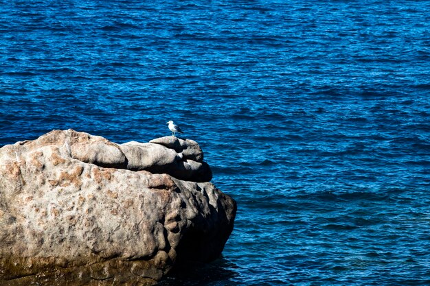 Photo view of rock formation in sea