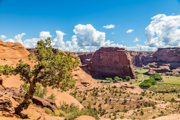 View of rock formations in desert