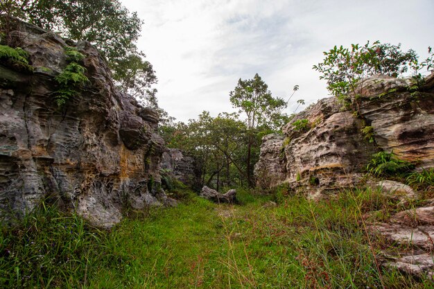 Photo view of the rock mountain the tropical jungle and the sky and clouds