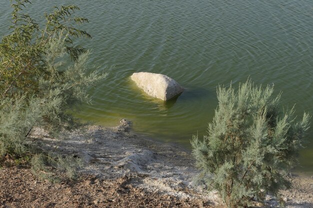 Foto vista delle rocce nel lago