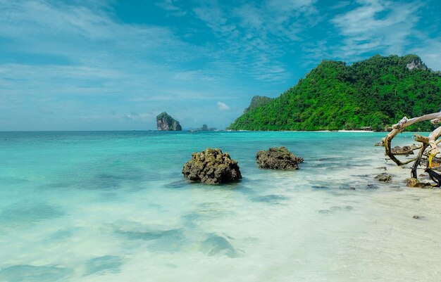 View of rocks in sea against sky