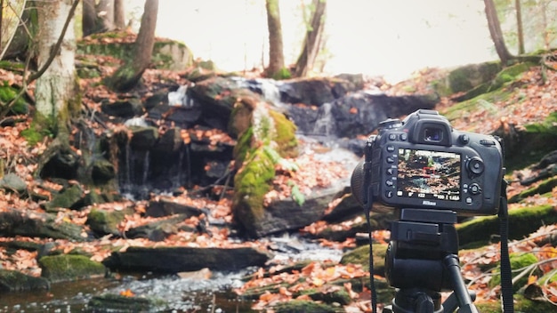 Photo view of rocks