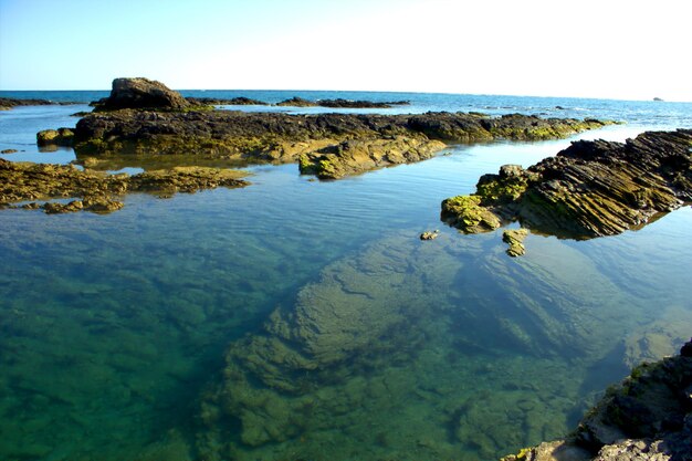 Foto vista della costa rocciosa