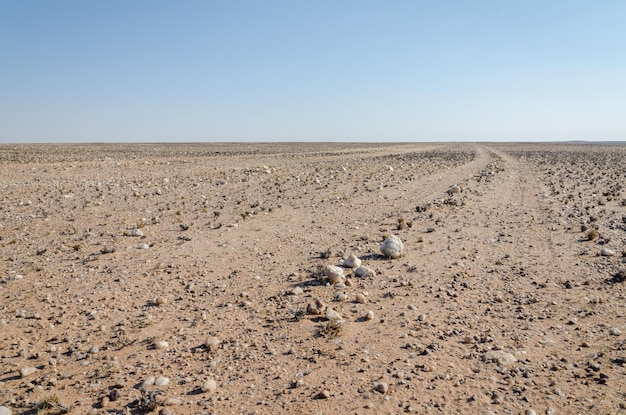 Foto vista di una pista rocciosa nel deserto in un paesaggio arido contro un cielo limpido deserto del namib angola africa